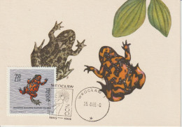 Pologne Carte Maximum 1963 Grenouille Rouge 1268 - Cartes Maximum