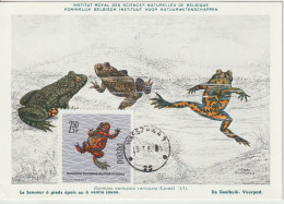 Pologne Carte Maximum 1963 Grenouille Rouge 1268 - Cartoline Maximum