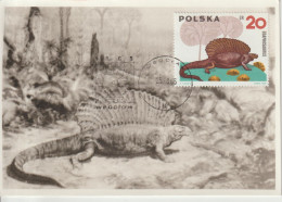 Pologne Carte Maximum 1965 Animaux Préhistoriques 1423 - Cartoline Maximum