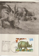 Pologne Carte Maximum 1965 Animaux Préhistoriques 1429 - Tarjetas Máxima