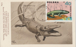 Pologne Carte Maximum 1966 Animaux Préhistoriques 1508 - Cartoline Maximum