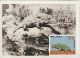 Pologne Carte Maximum 1966 Animaux Préhistoriques 1509 - Tarjetas Máxima