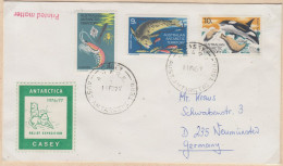 AAT Cover Label "Casey" Relief Expedition  Ca Casey 11 FE 1977 (XX154) - Briefe U. Dokumente