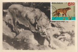 Pologne Carte Maximum 1966 Animaux Préhistoriques 1513 - Maximum Cards