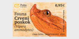 Montenegro - Postfris / MNH - Fauna 2023 - Montenegro