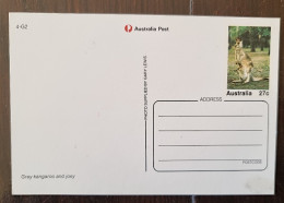 AUSTRALIE Kangourou, Kangourous, Marsupiaux. Entier Postal Illustré Neuf  (2 Photos) - Autres & Non Classés