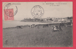 35 - SAINT ENOGAT----Vue Prise Des Falaises---Au Loin Saint Malo - Saint Servan