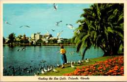 Florida Orlando Lake Eola Feeding The Sea Gulls 1965 - Orlando