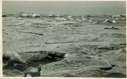 Koksijde, Coxyde, Mer Gelée, Carte Photo Du Photographe Georges, Rue Royale - Koksijde