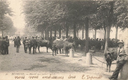 Béthune * 1904 * Marché Aux Vaches * Foire Aux Bestiaux - Bethune