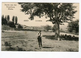 Joueur De Cornemuse Bagpipe Player Piper Dudelsack Music Instrument Rare Early Postcard - Foto