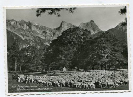 AK 124342 SWITZERLAND - Schafherde Vor Dem Heidibrunnen In Maienfeld - Maienfeld