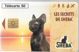 CARTE-PUCE-PRIVEE-PUBLIC- 50U-EN1590-SO3-09/9-JG-SHEBA-CHAT Et Ses ORIGINES-NEUVE-TBE/LUXE - 50 Einheiten