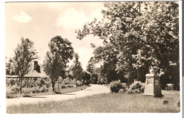 Ostseebad Zingst  - Von 1957 (59801) - Zingst