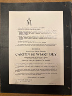 R. Carton De Wiart Bey Lieutenant Collnel Service Egypte +1906 Au Bord SS Grosser Kurfurst Naples Hastière Par Delà BXL - Obituary Notices