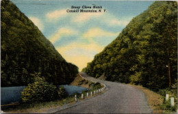 New York Catskills Stont Clove Notch 1962 Curteich - Catskills