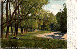 New York Catskills Murderers Creek The Willows 1906 - Catskills