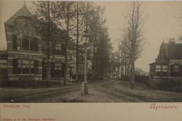 Apeldoorn // Zwolsche Weg Ca 1900 - Apeldoorn