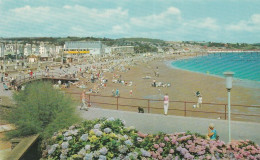 Sands & Festival Hall, Paignton  - Devon -  Unused Postcard -  Uk3 - Torquay