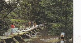 Tarr Steps, Exmoor  - Devon -  Unused Postcard -  Uk3 - Torquay