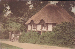 Devon Cottage  - Devon -  Vintage Unused Postcard -  Uk3 - Torquay