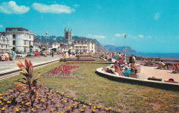 Promenade Gardens Teignmouth  - Devon -   Unused Postcard -  Uk3 - Torquay