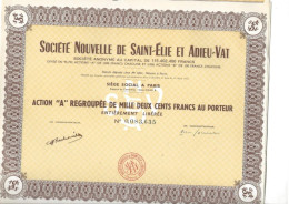 SOCIETE NOUVELLE DE SAINT -ELIE ET ADIEU-VAT -GUYANE - -LOT DE 5 ACTIONS "A" De 1200 Frs -1953 - Mines