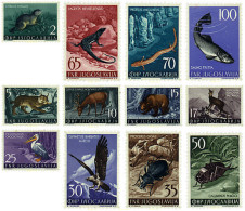 349390 HINGED YUGOSLAVIA 1954 FAUNA - Arañas