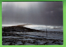 975 SAINT PIERRE MIQUELON Superbe Carte Vent Et Lumière Aux Buttereaux à Miquelon Peu Courante - Saint-Pierre-et-Miquelon