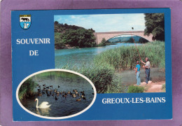 04 Souvenir De Gréoux Les Bains  Le Verdon à Gréoux Les Bains  Pêcheur  Cigne Et Canards Blason - Gréoux-les-Bains