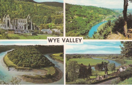 Wye Valley Multiview - Gloucestershire -   Unused Postcard - UK6 - Other & Unclassified