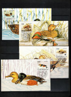 Jugoslawien / Yugoslavia 1989 WWF Ducks Maximum Cards - Cartoline Maximum