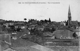 LA CHATAIGNERAIE - Vue D'ensemble - La Chataigneraie