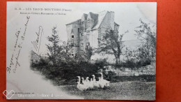 CPA (86) Les Trois Moutiers. Ruines Du  Château Montpensier, à Vézières. OIES. (Y.1996) - Les Trois Moutiers