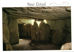 LOCMARIAQUER : Mane Rutal. Dolmen à Couloir - Locmariaquer