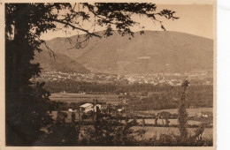 81	47	Mazamet	Vue Générale		Non Circulée - Mazamet