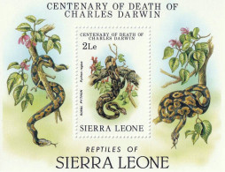 SIERRA LEONE, Reptile, Reptiles, Serpents, Darwin. Yvert N° BF 12 Neuf Sans Charniere. MNH ** - Schlangen