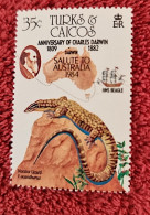 TURKS ET CAICOS  ISLANDS, Reptile, Reptiles, Lezard, Darwin, 1 Valeur émise En 1982   MNH ** - Andere & Zonder Classificatie