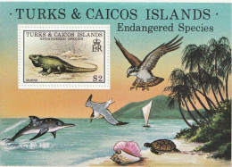 TURKS ET CAICOS  ISLANDS, Reptile, Reptiles, Iguane, Yvert N° BF 67  MNH ** Oiseau, Coquillage, Tortue - Sonstige & Ohne Zuordnung