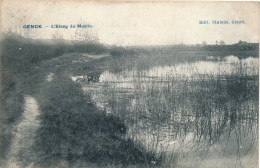 GENK  L'ETANG DU MOULIN      2 SCANS - Genk