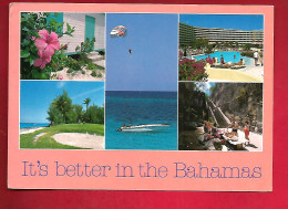 CP Antilles It's Better In The Bahamas Multivue Dont Parachute Ascentionnel ?  - Tp Oiseau Pour Famille Conan Pontrieux - Bahamas