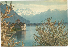 AC6362 Veytaux - Chateau De Chillon Et Les Dents Du Midi / Viaggiata 1959 - Veytaux