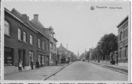 AVENUE ROYALE  4298 A - Mouscron - Moeskroen