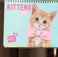 Calendrier Kittens 2022 - Myrna - 2021 - Agendas & Calendarios