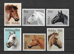 LOTE 1237A  /// POLONIA **MNH CABALLOS - Chevaux