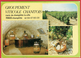 Côteaux De Champlitte - Groupement Viticole Chanitois - Vues Diverses - Vigne Vin Cave Tonneau Vendanges Viticulture - Champlitte
