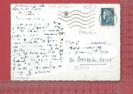 CARTE NOMINATIVE : NAUDIN  ( Antiquités )  à  92340 Bourg-la-Reine - Genealogy