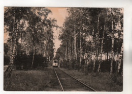 9106, Deutschland > Brandenburg > Strausberg Bei Berlin, Straßenbahn - Strausberg