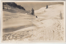 C6508) FIEBERBRUNN - Abfahrt Von Der Skihütte Lächfilzhochplatte 1955 - Fieberbrunn