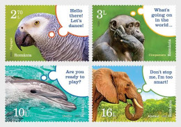 Romania 2022 Smart Animals Stamps 4v MNH - Nuevos